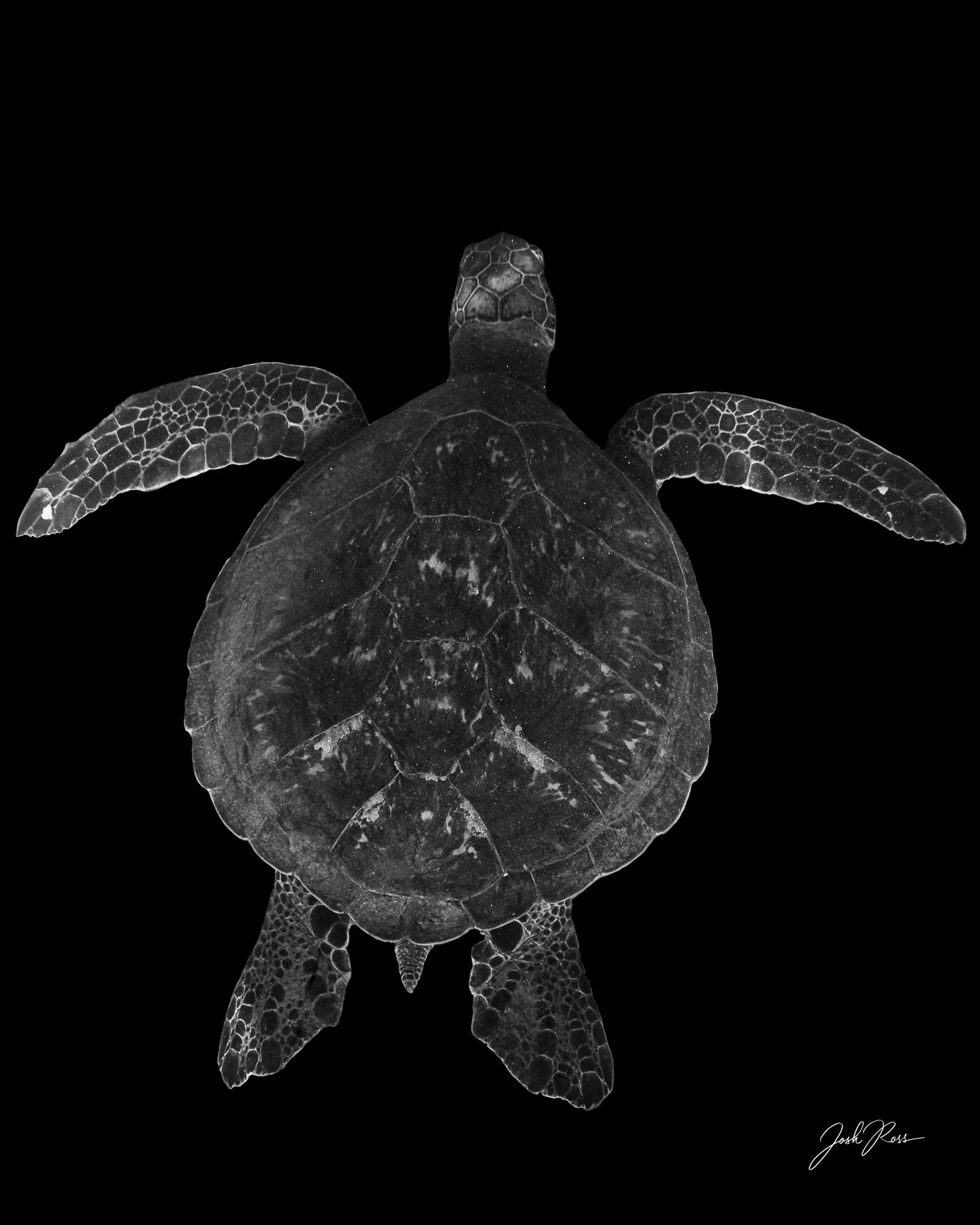 Por encima de la oscuridad