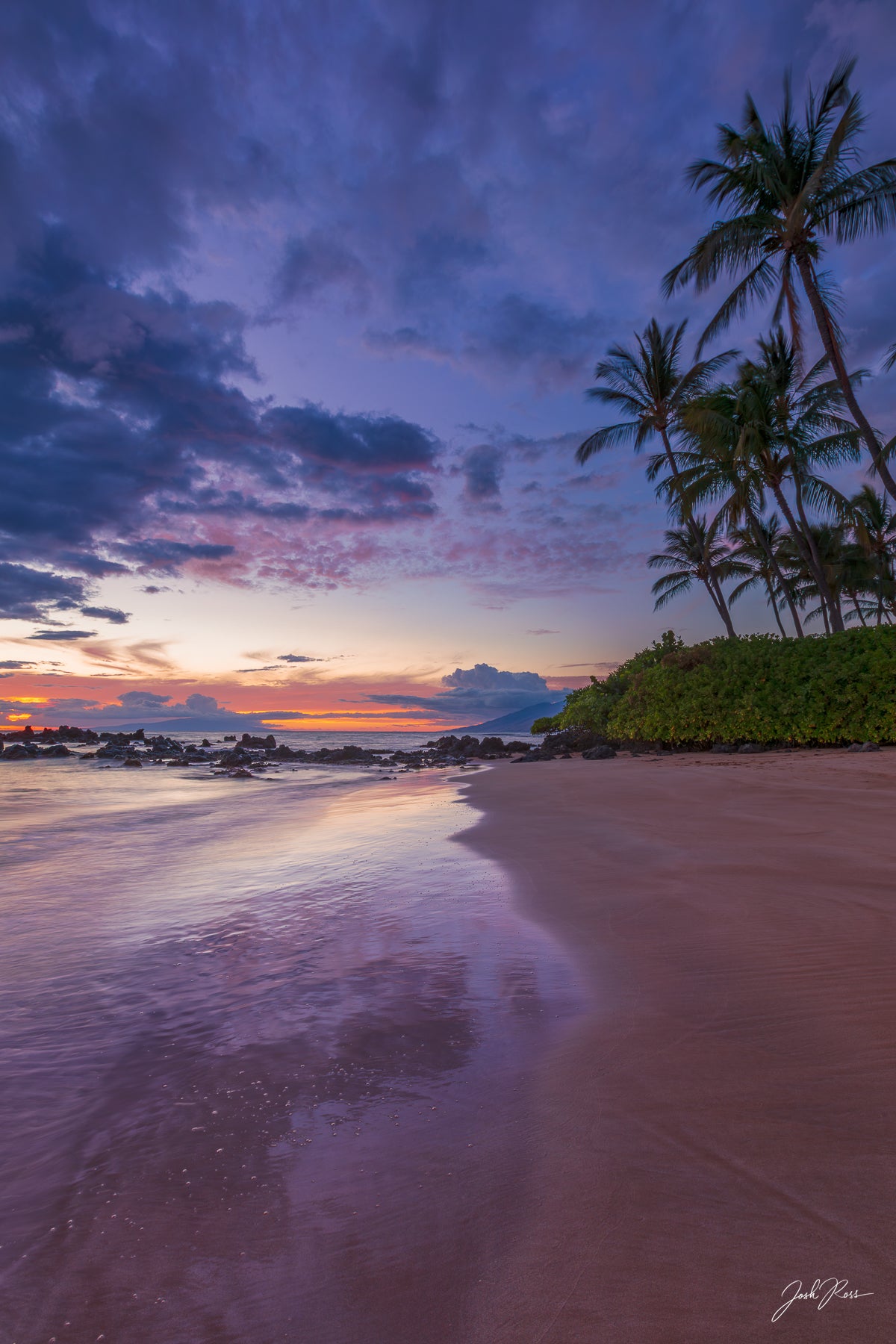 Purple Sunset