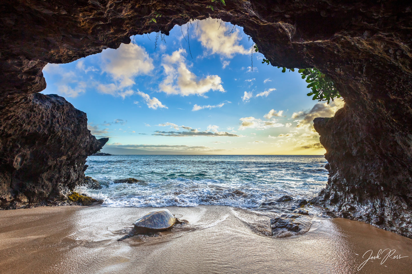 Cave Honu Watching the Sunset