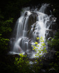 Cascada del Monte Rainier