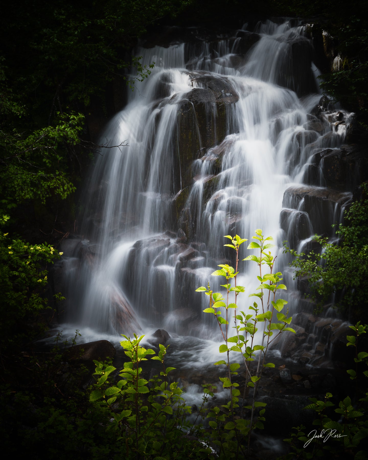Cascada del Monte Rainier