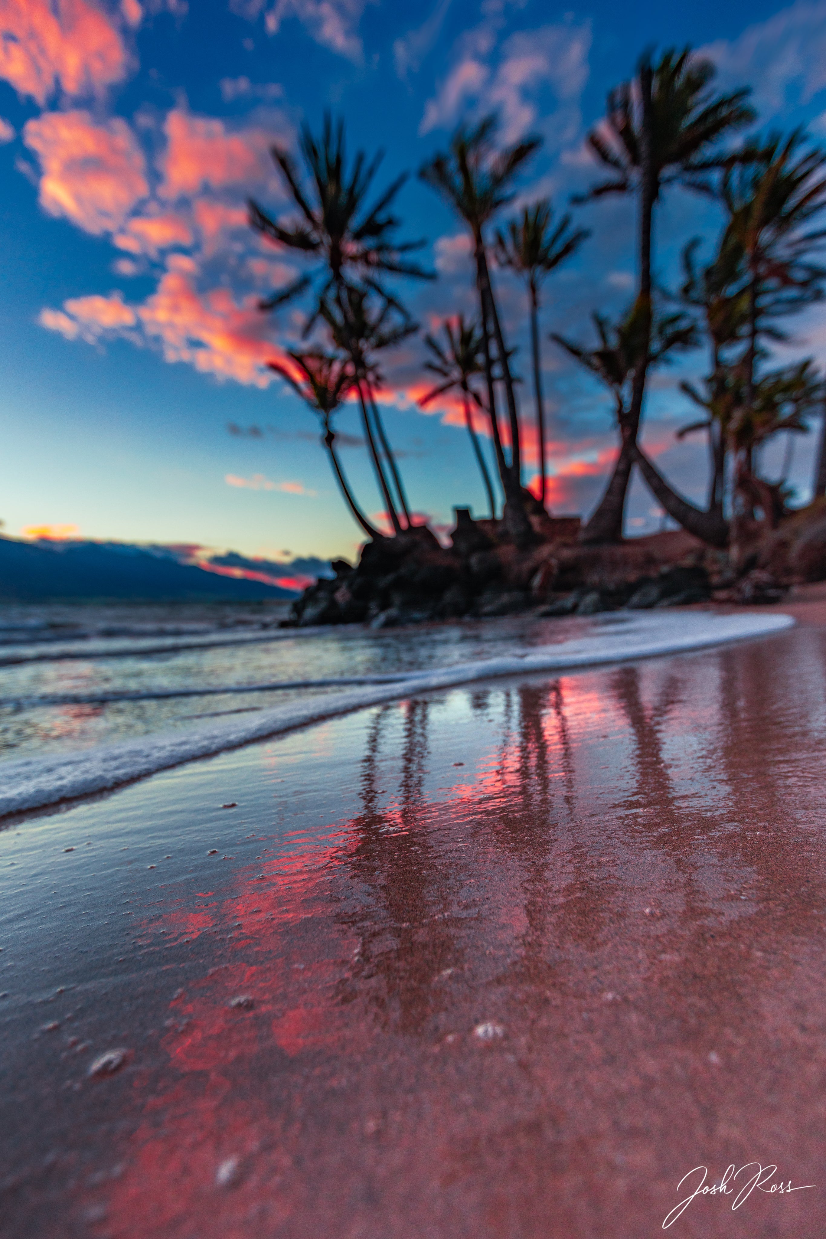 Palmeras y puestas de sol