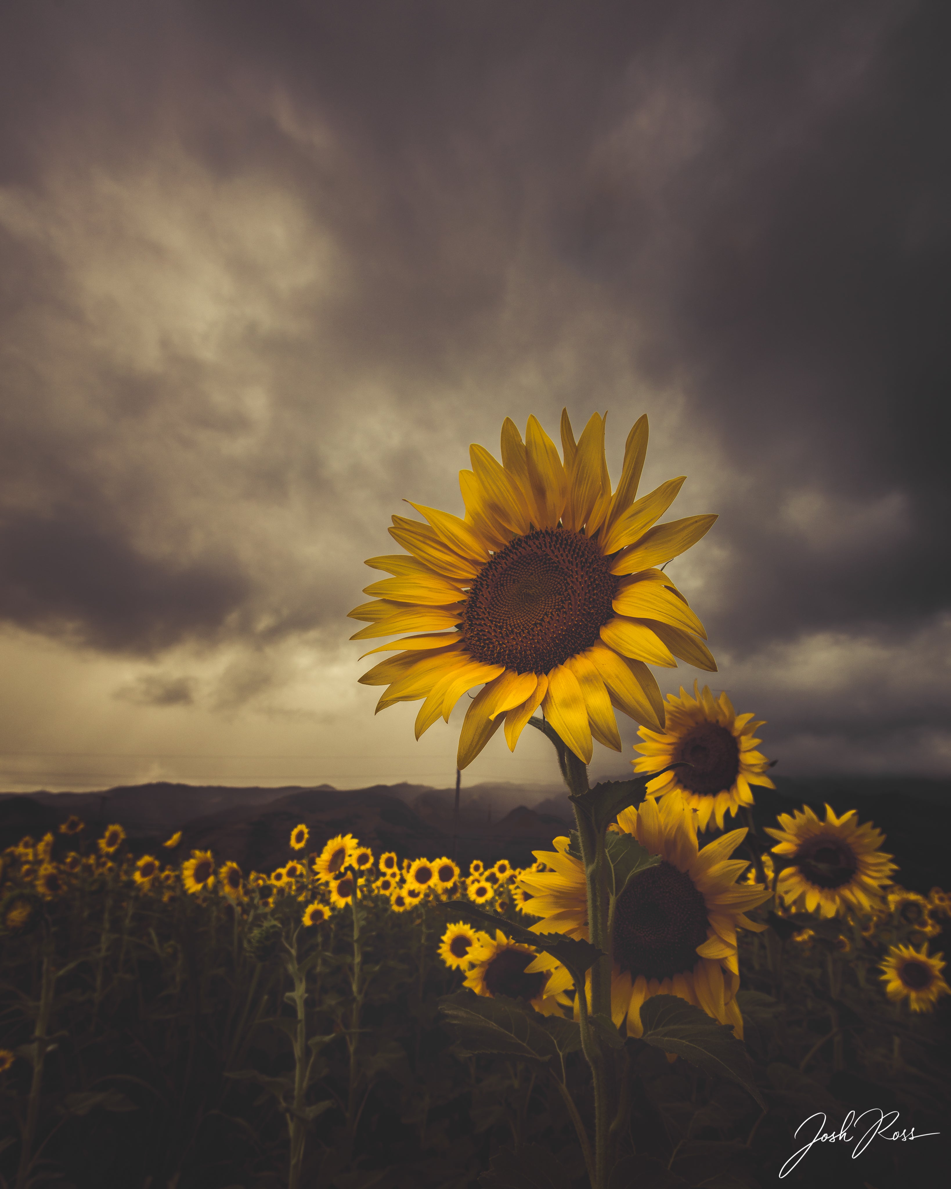 Sol en un día nublado