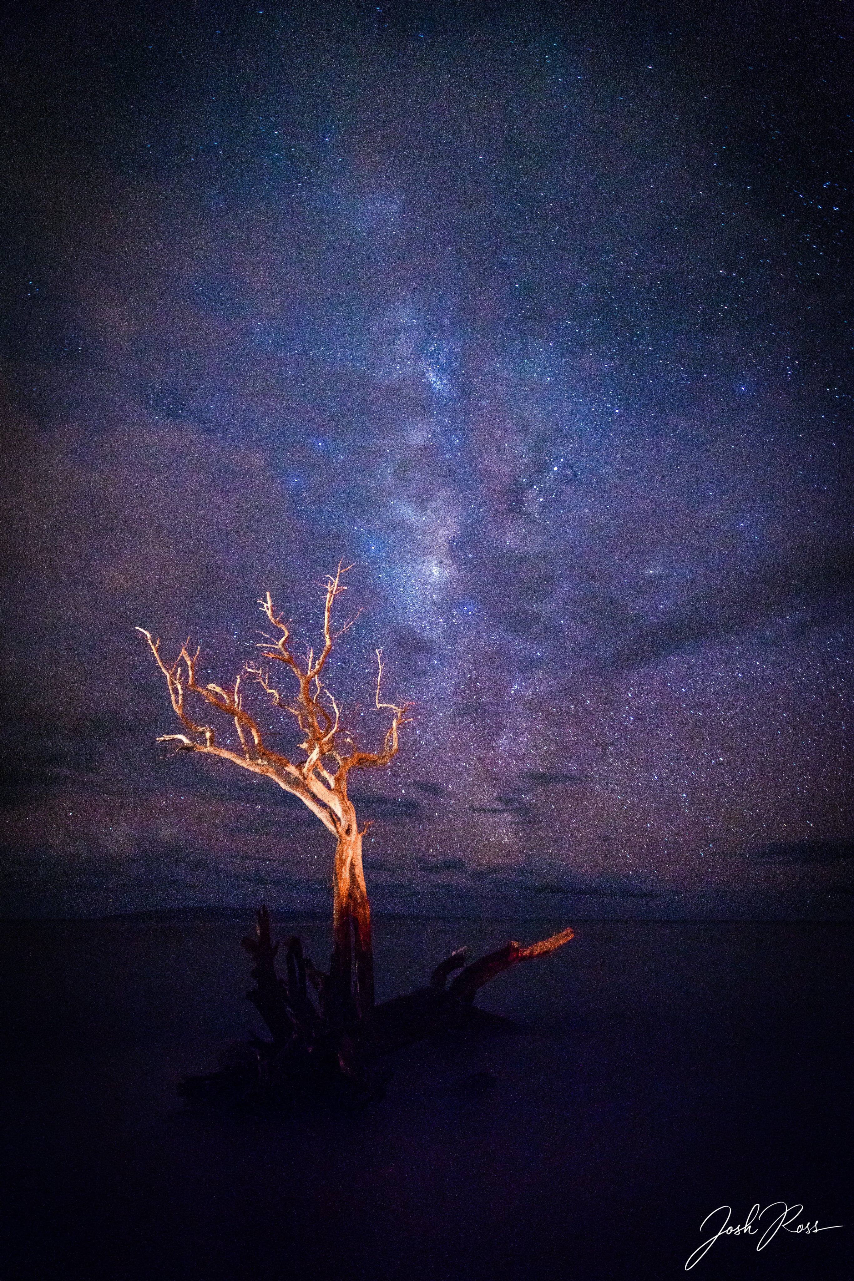 El adorador de la Vía Láctea