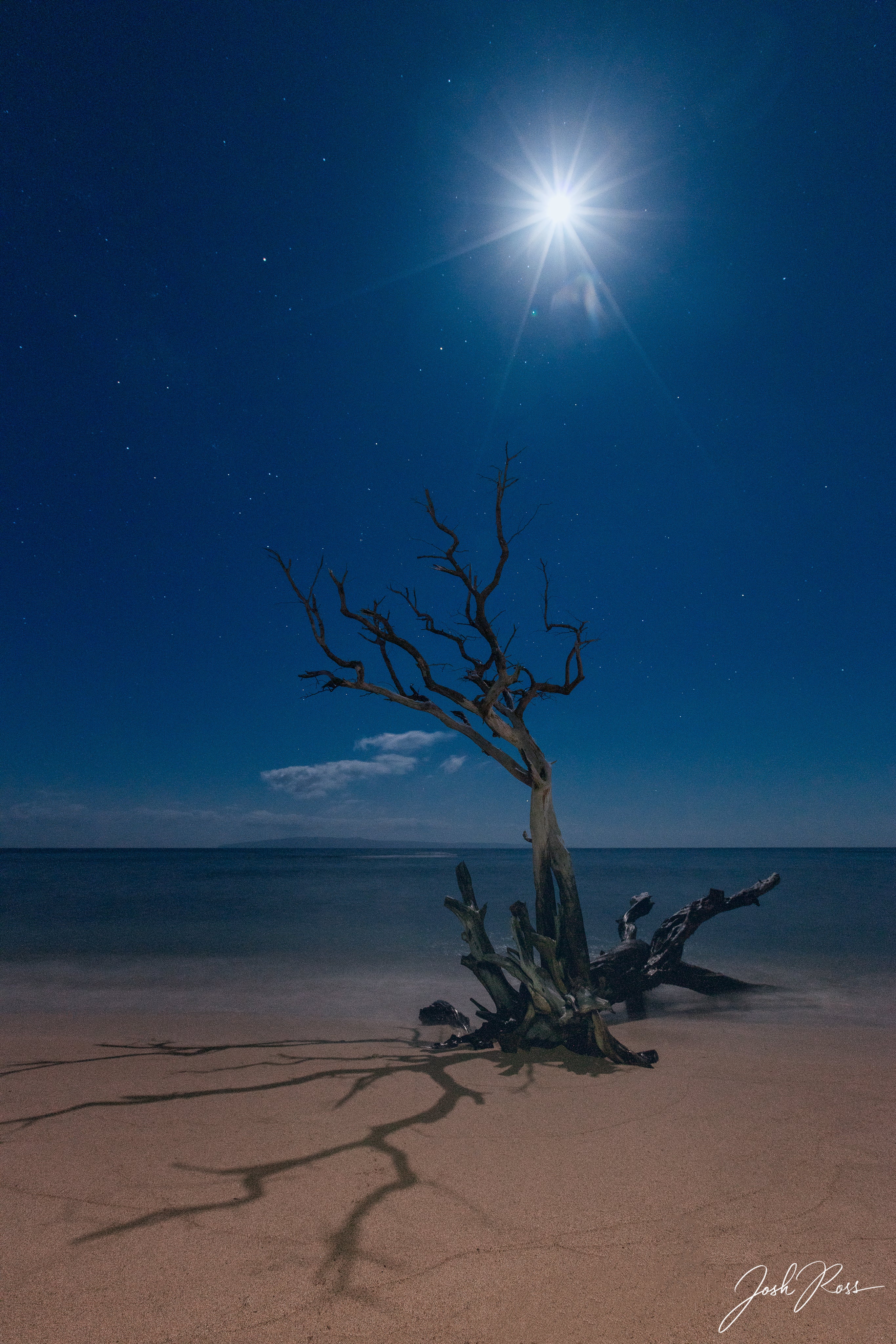 El adorador de la luna