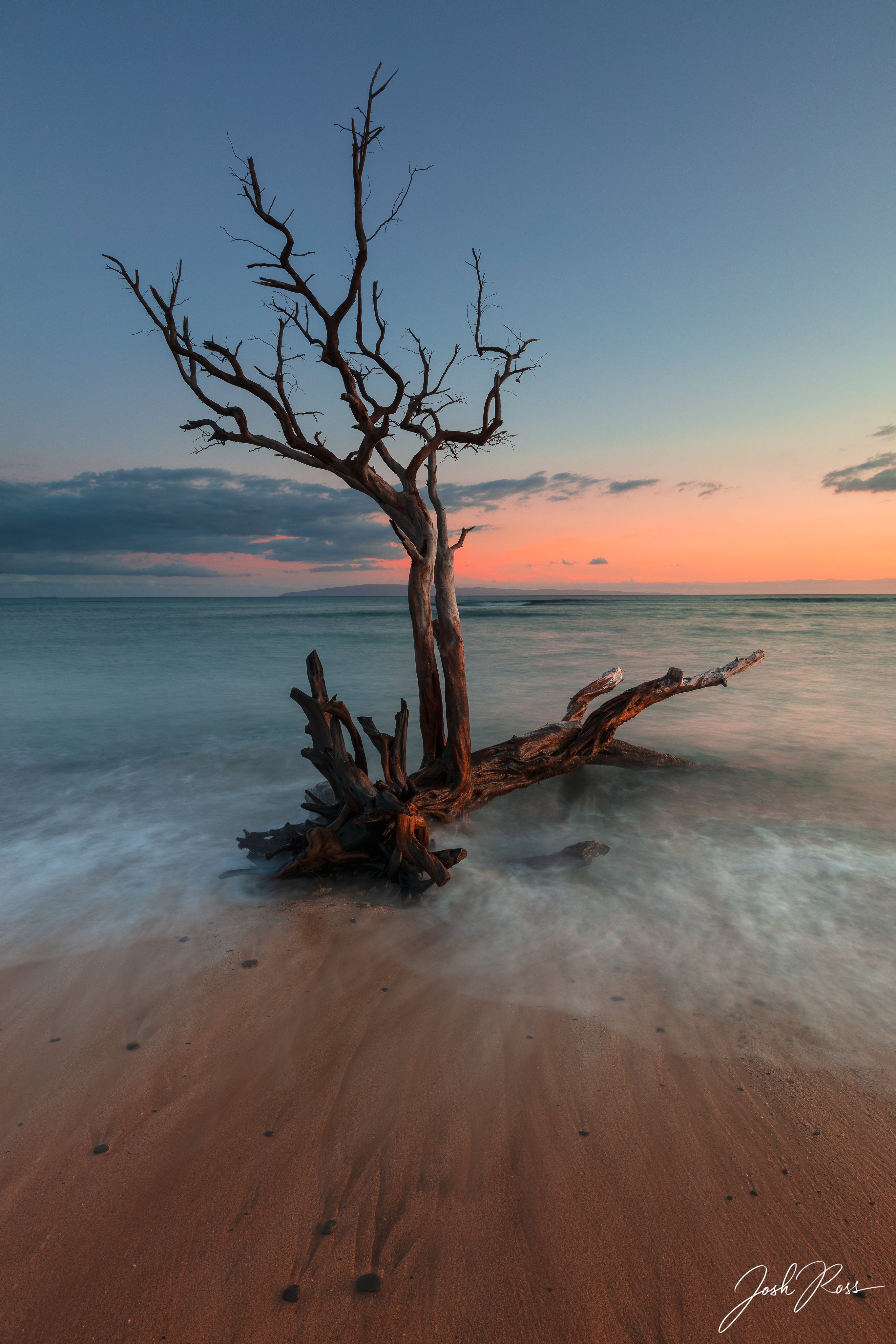 The Sunset Worshiper